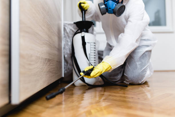 Best Pest Inspection Near Me  in Beverly, NJ