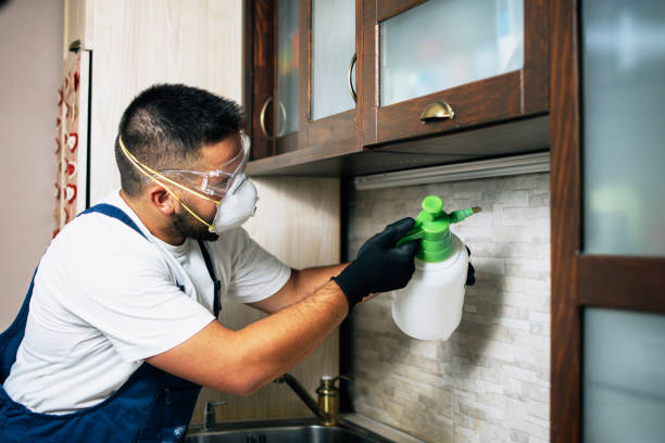 Best Best Pest Control Companies  in Beverly, NJ