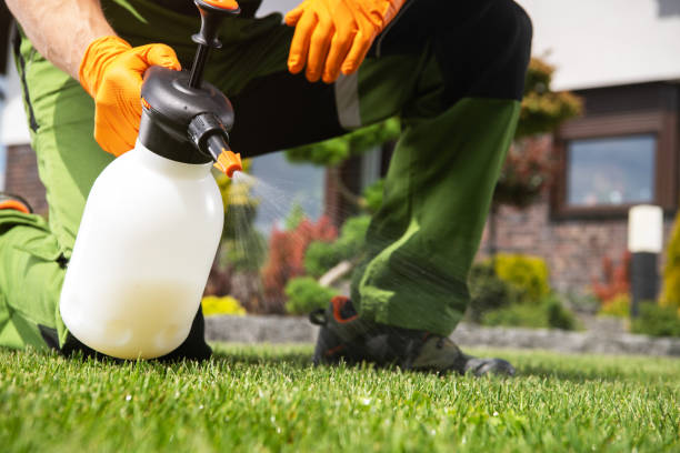 Best Affordable Pest Control Services  in Beverly, NJ