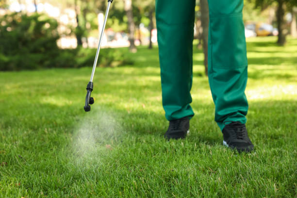 Flea Control Services in Beverly, NJ