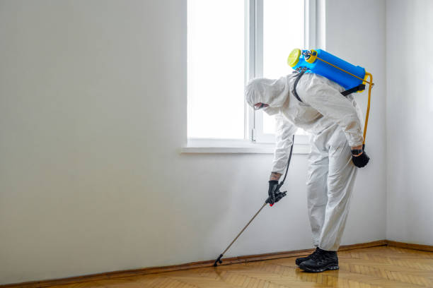 Trusted Beverly, NJ Pest Control Experts