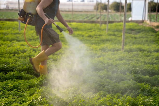 Best Ant Control Services  in Beverly, NJ
