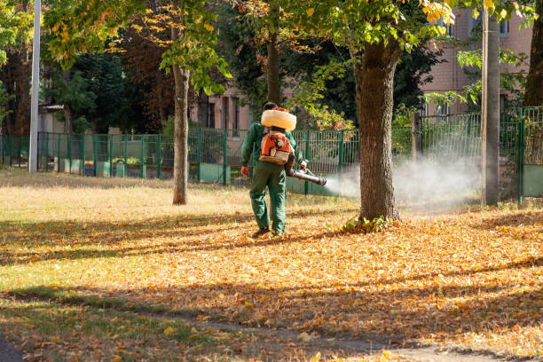 Best Mosquito Control Services  in Beverly, NJ