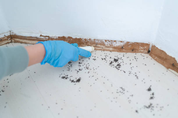 Best Commercial Pest Control Services  in Beverly, NJ